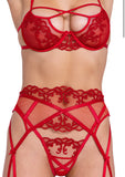 Red 3pc Lace Bra, Panty and Garter